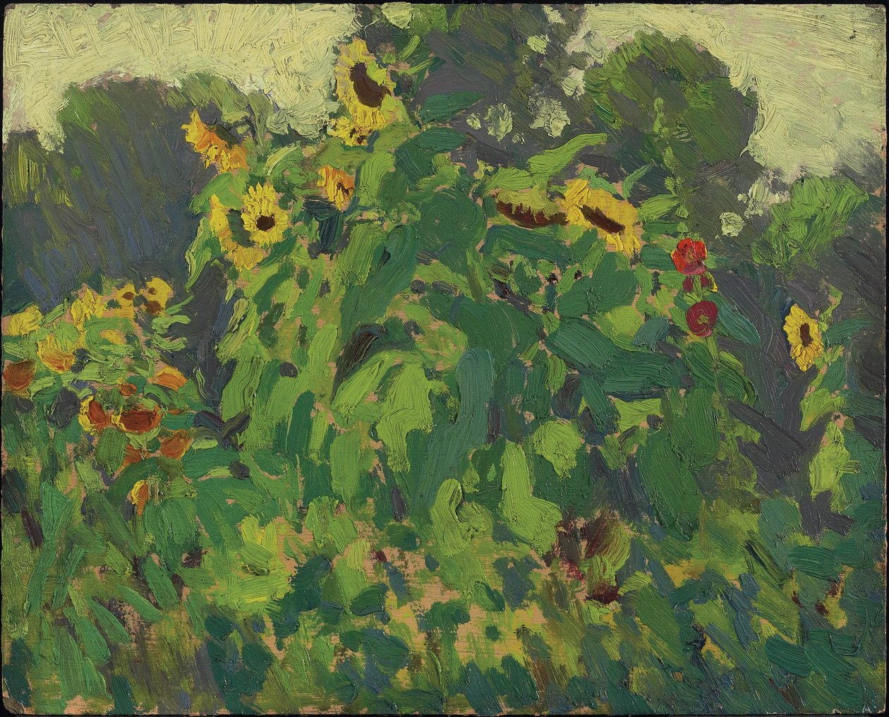 Girassóis, Thornhill, 1916 (óleo sobre compósito de pasta de madeira) de James Edward Hervey Macdonald