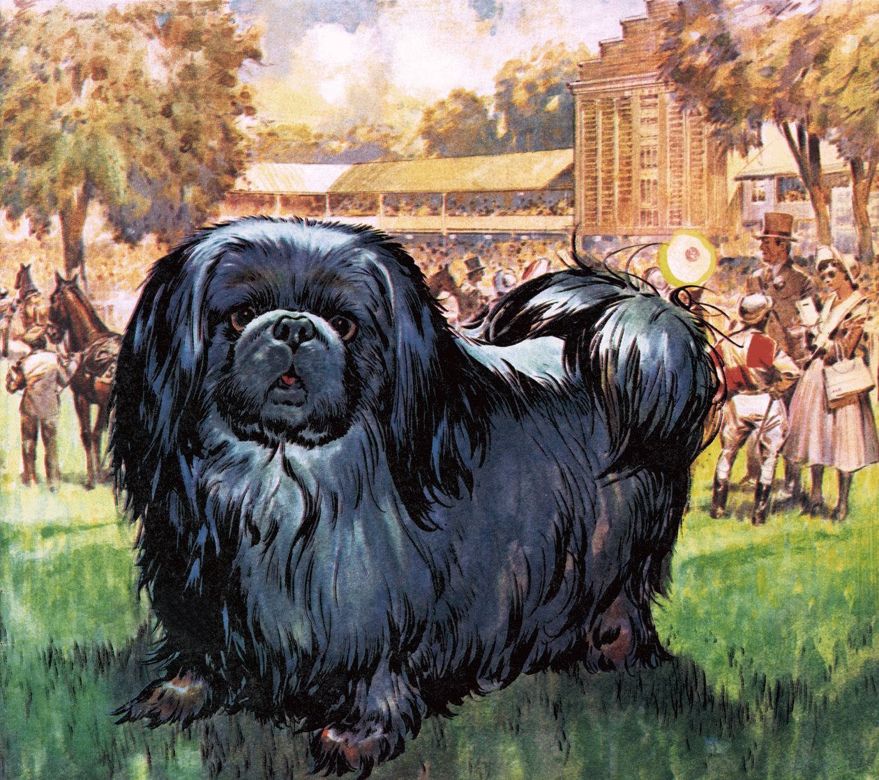Cavaleiro Negro. O cão pequinês que pertenceu ao artista Sir Alfred Munnings. de James Edwin McConnell