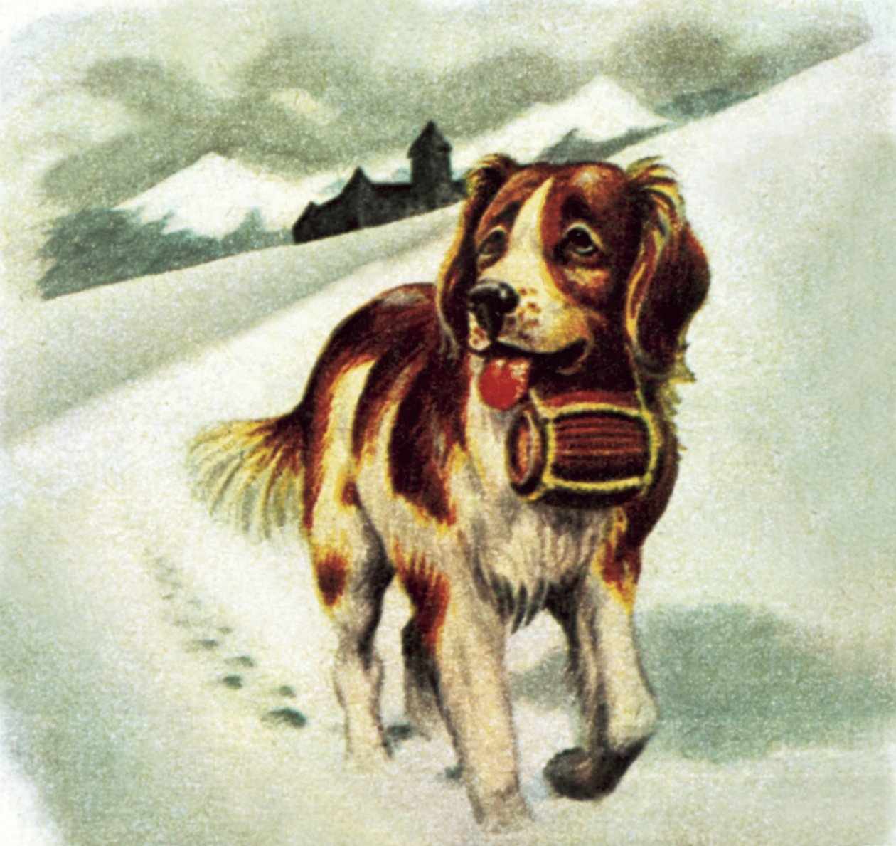 Cão São Bernardo de James Edwin McConnell