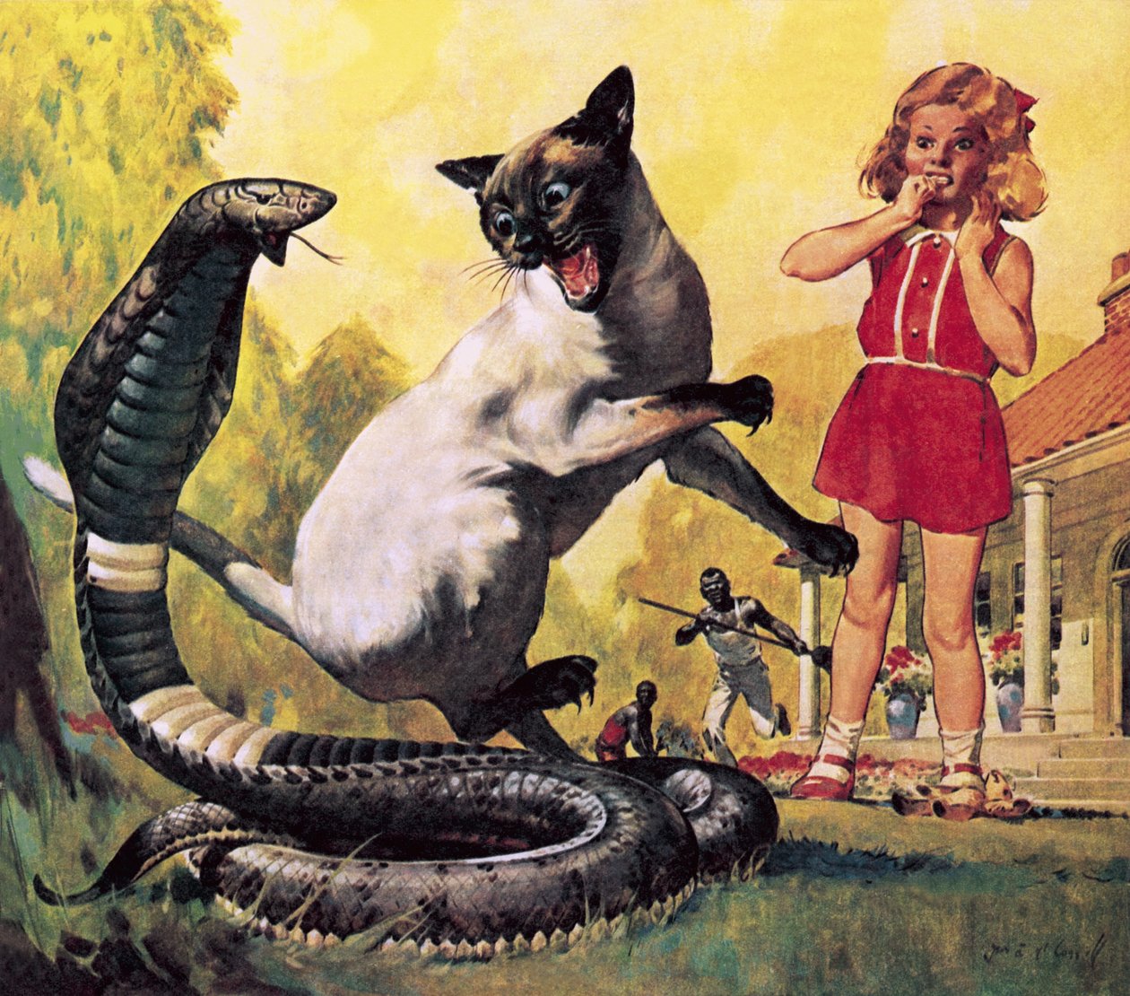 O gato corajoso de James Edwin McConnell