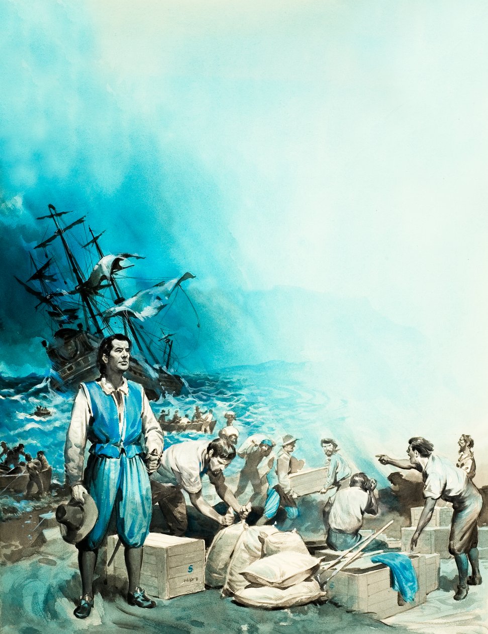 O navio "Haarlem" encalhado em Table Bay de James Edwin McConnell