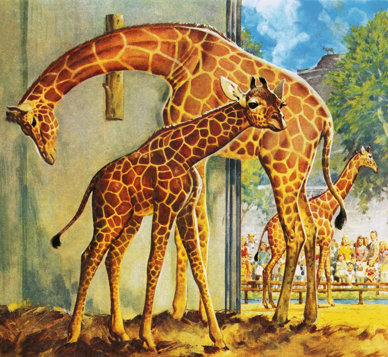 Virgínia, a Girafa de James Edwin McConnell