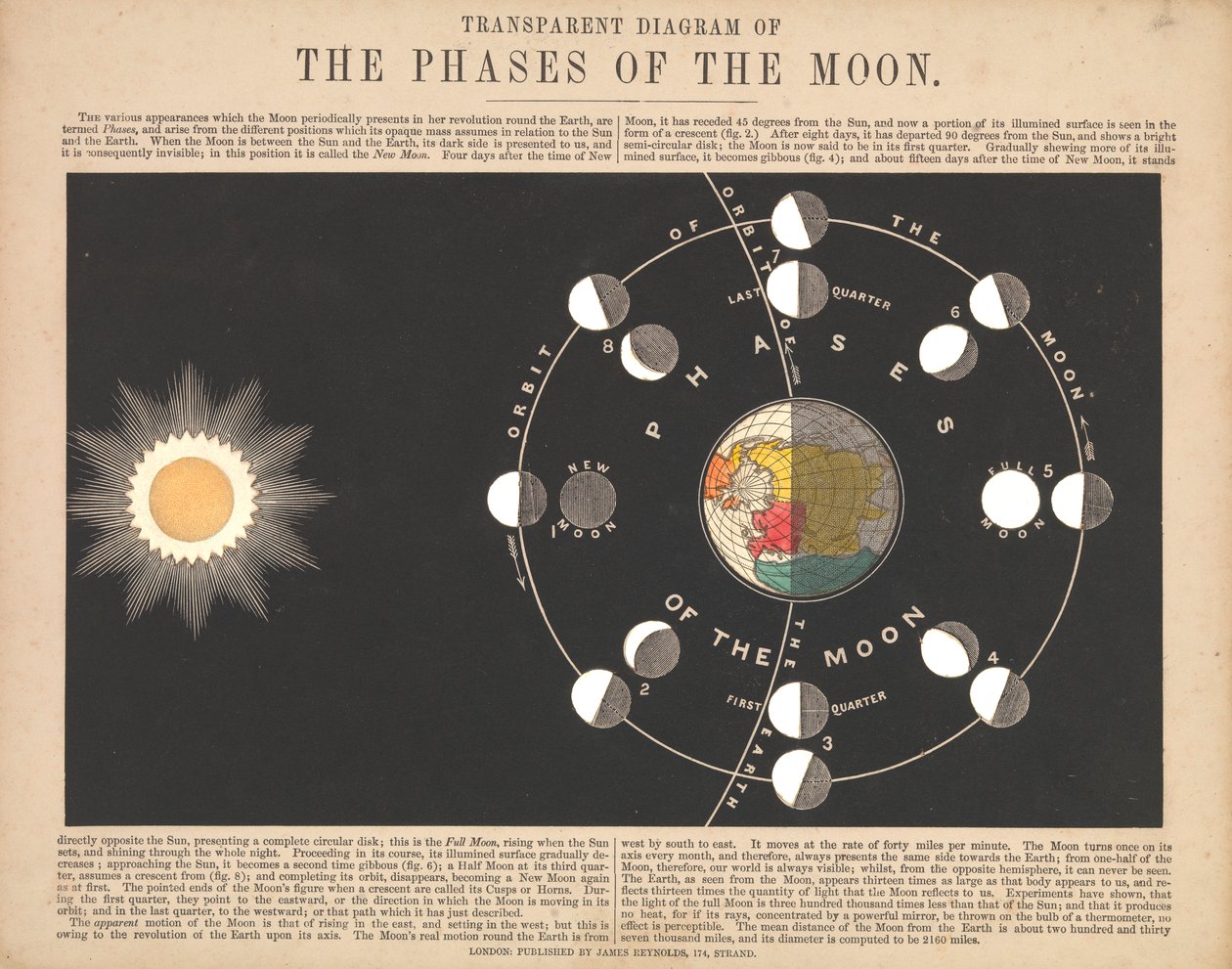 Diagrama transparente das fases da lua de James & Emslie John (1813-75) Reynolds