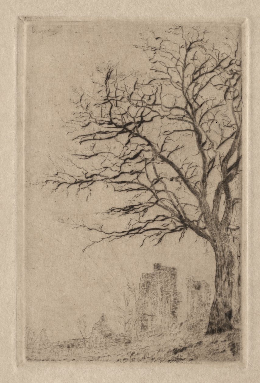 Acácia de James Ensor