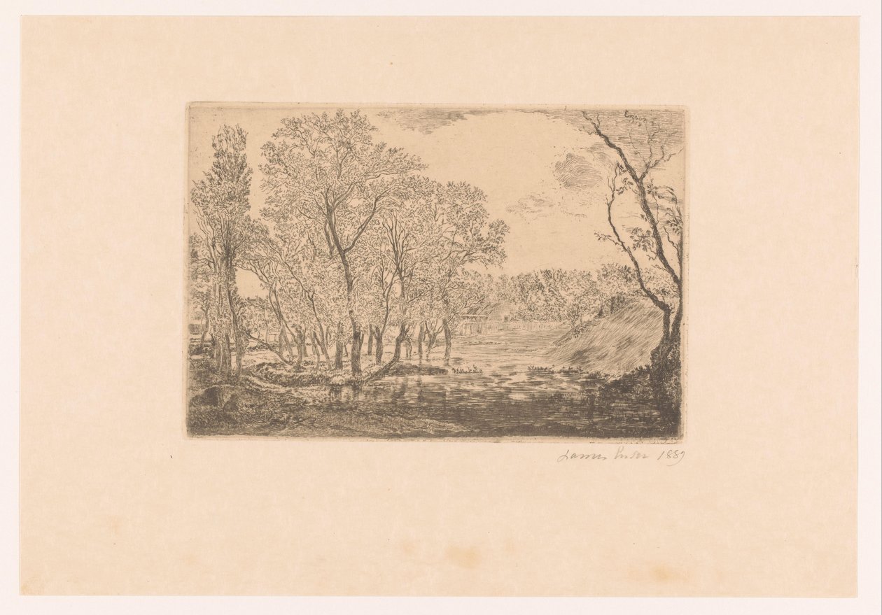 Paisagem com choupos à beira-mar
La mare aux peupliers de James Ensor