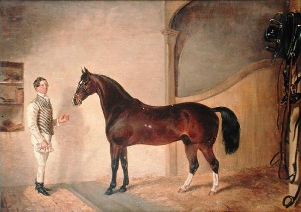 Noivo com caçador na propriedade de Tredegar, Monmouthshire de James Flewitt Mullock