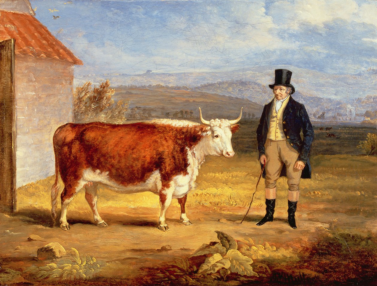 Sr. James Hodges e sua novilha Hereford de dois anos, c.1843 de James Flewitt Mullock