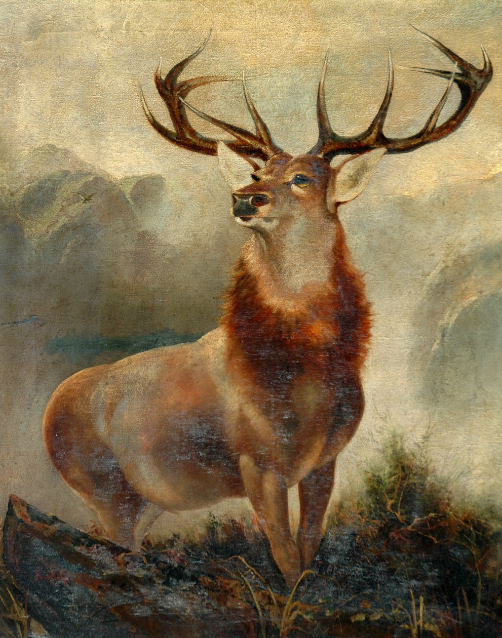 Stag At Bay de James Ford