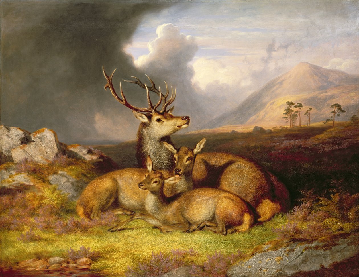Highland Felicity, Ben Lebrig em segundo plano de James Giles