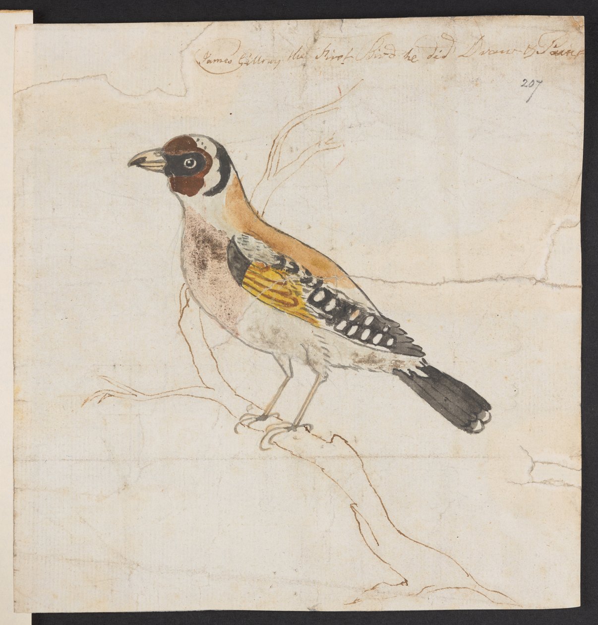 Ninho de pássaro, c. 1757-1815 (aguarela e tinta) de James Gillray