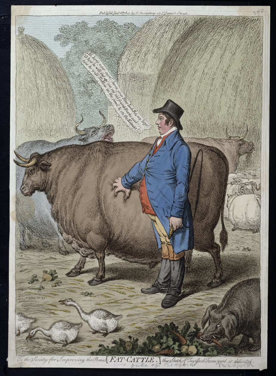 Gado Gordo, publicado por Hannah Humphrey em 1802 (gravura à mão colorida) de James Gillray