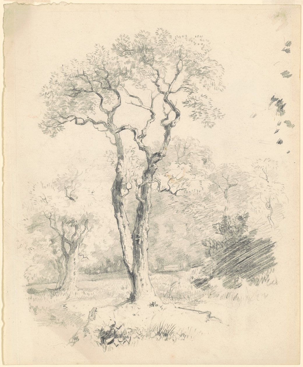 Uma Clareira de Árvores de James Goodwyn Clonney
