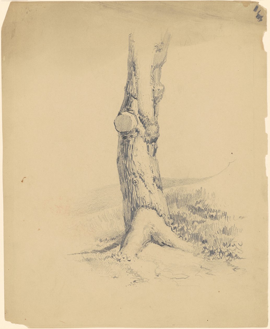 Tronco de árvore antigo de James Goodwyn Clonney