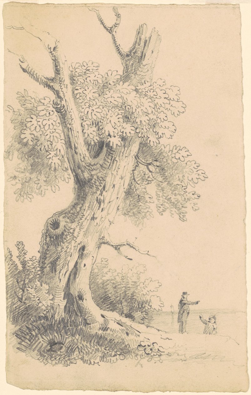 Árvore perto da costa de James Goodwyn Clonney