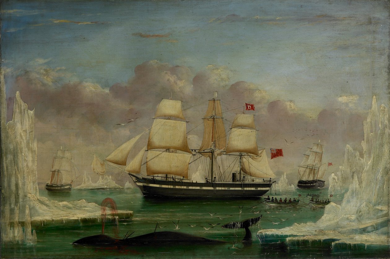 O baleeiro "Diana" (óleo sobre tela) de James H. Wheldon