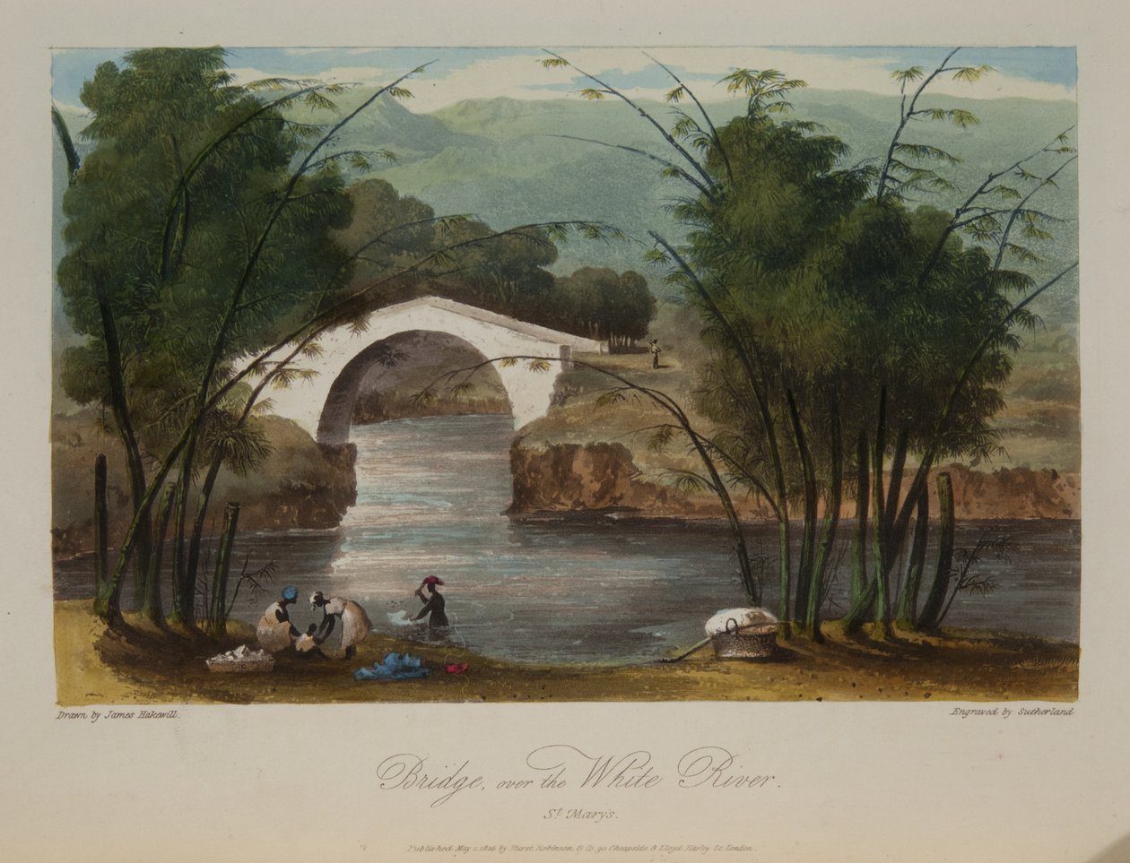 Ponte sobre o rio Branco de James Hakewill