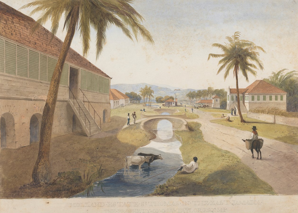 Holland Estate, St. Thomas in the East, Jamaica [One of ] de James Hakewill
