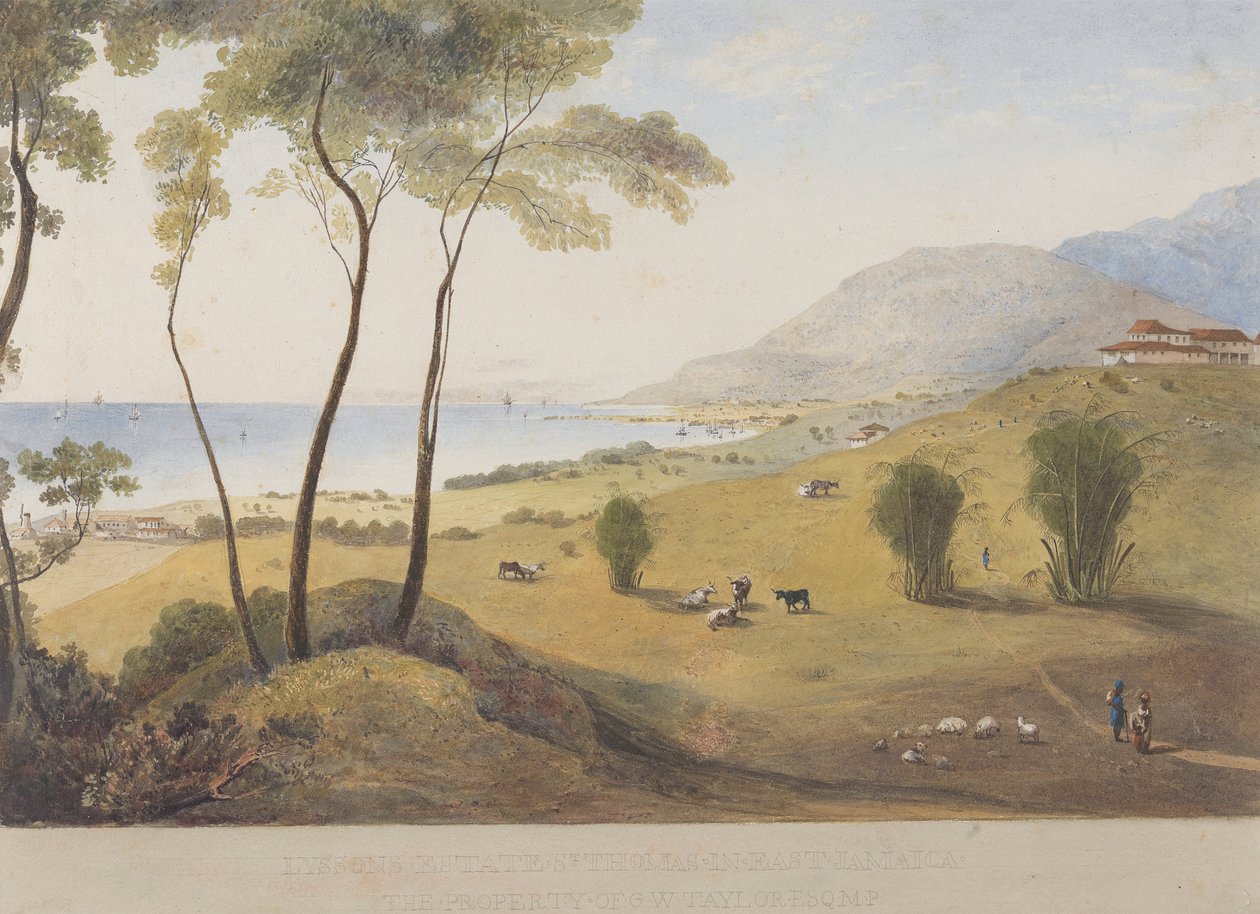 Lyssons Estate, St. Thomas no Leste, Jamaica de James Hakewill