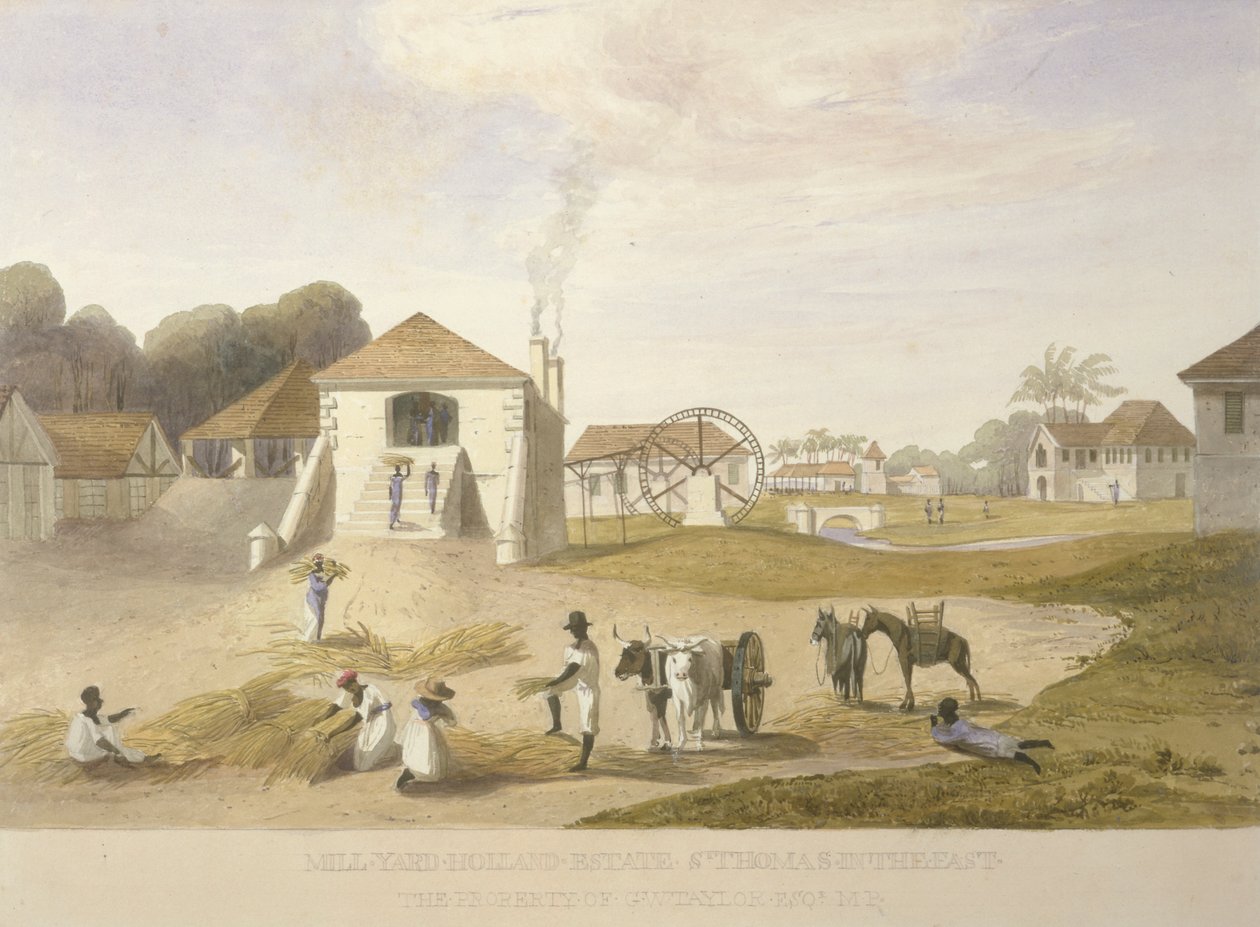 Mill Yard, Holland Estate, St. Thomas no Leste de James Hakewill