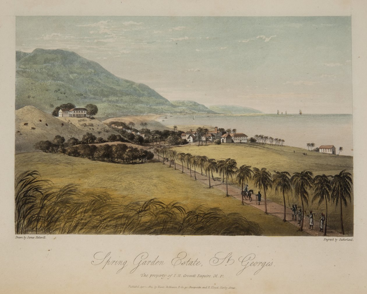 Spring Garden Estate, St George