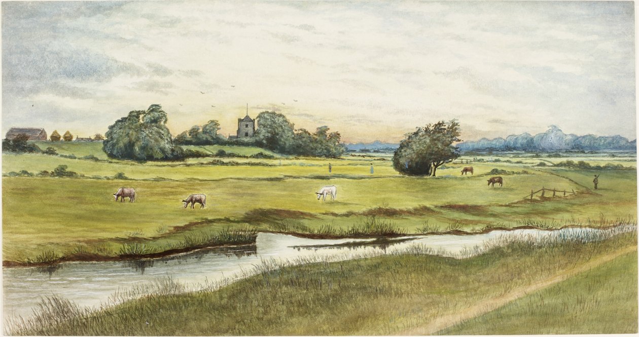 Ryton Meadows (aquarela e bodycolour no papel) de James Henry Cleet