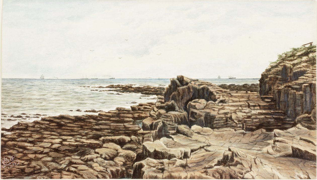 Tynemouth do ponto da agudeza (aguarela e bodycolour no papel) de James Henry Cleet