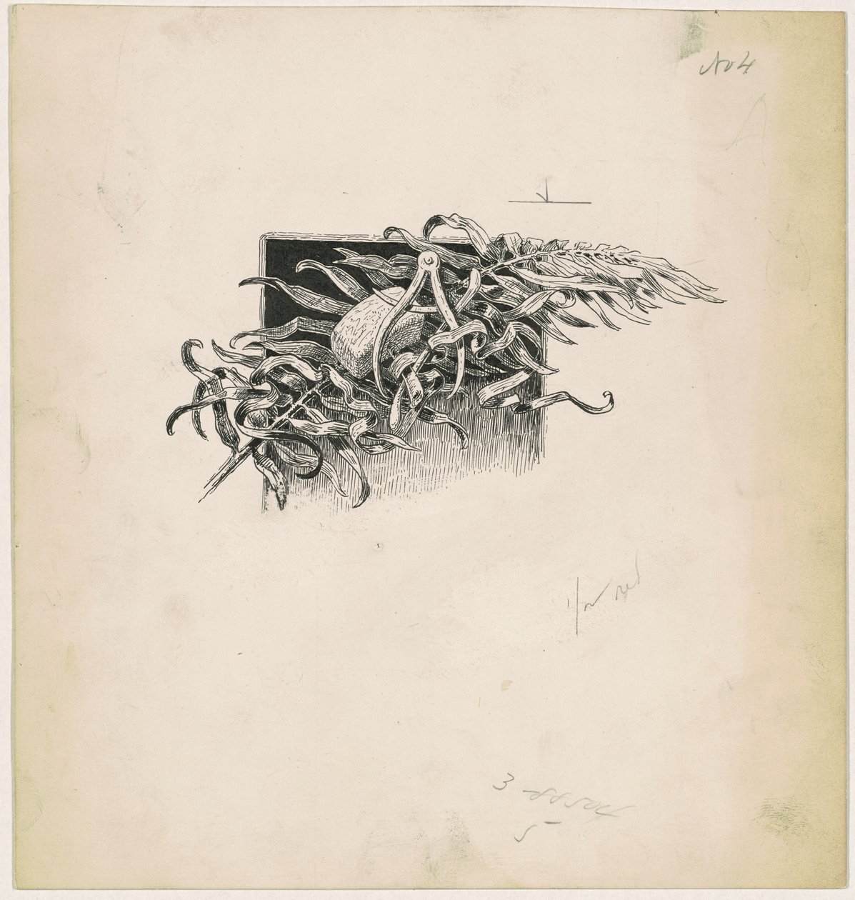 Martelo e bússola de James Henry Moser
