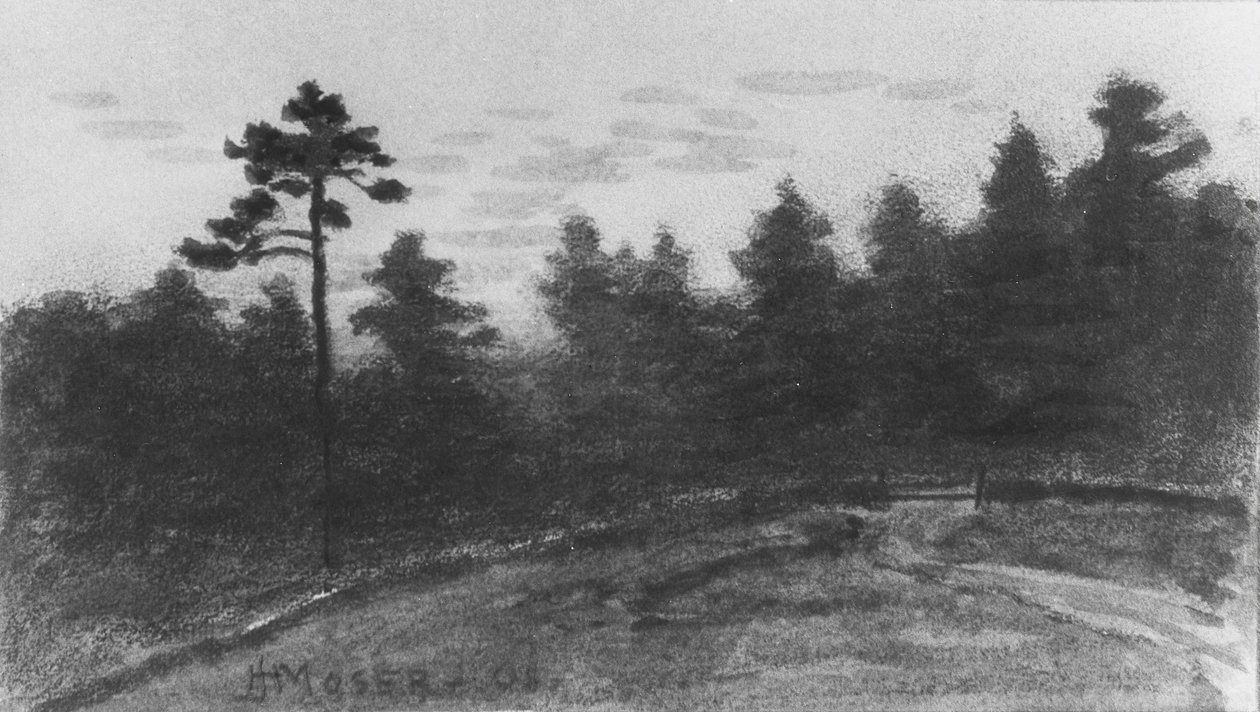 Paisagem de McGuire Scrapbook, 1908. de James Henry Moser