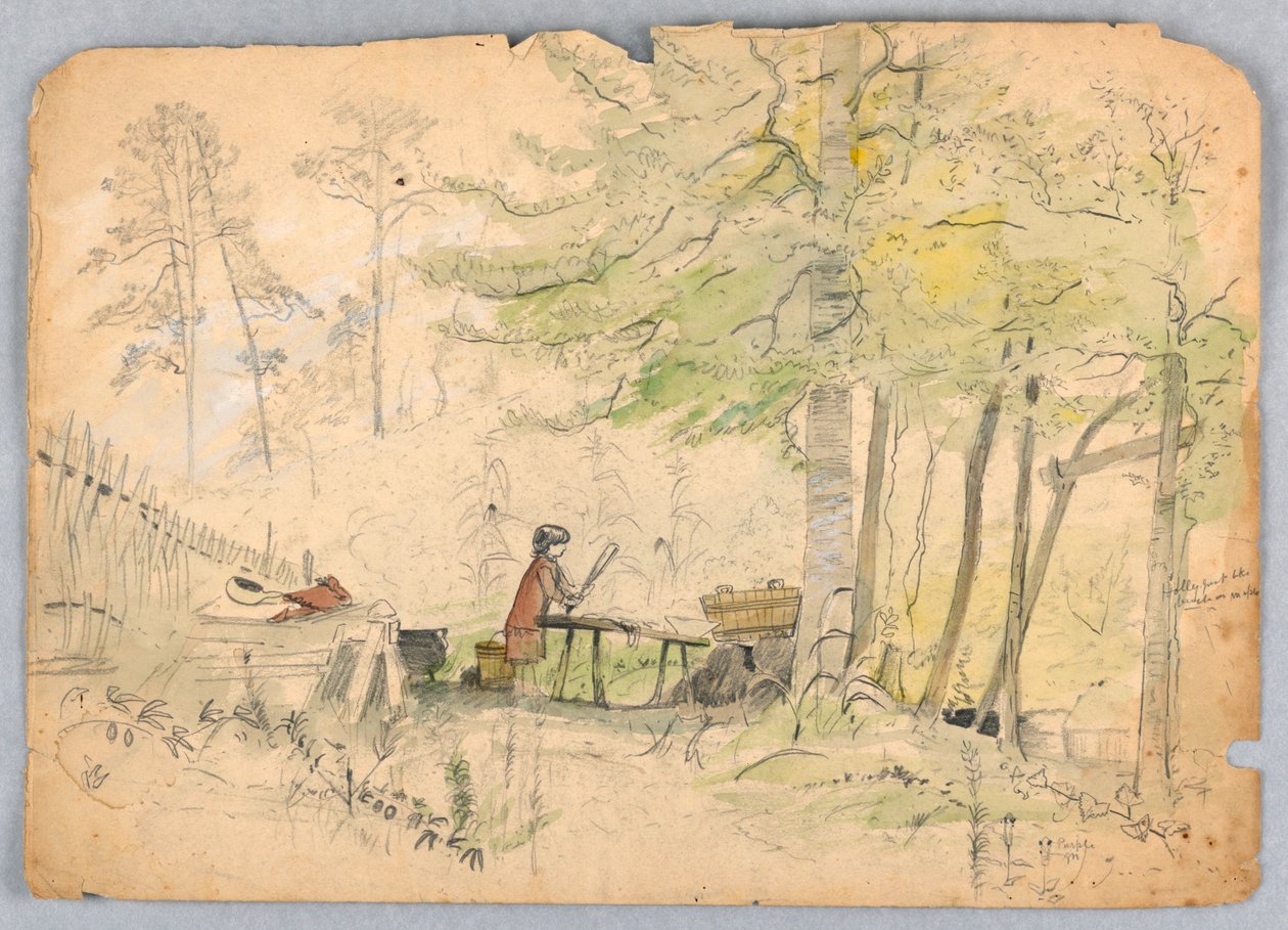 Acampamento da Floresta de James Henry Moser