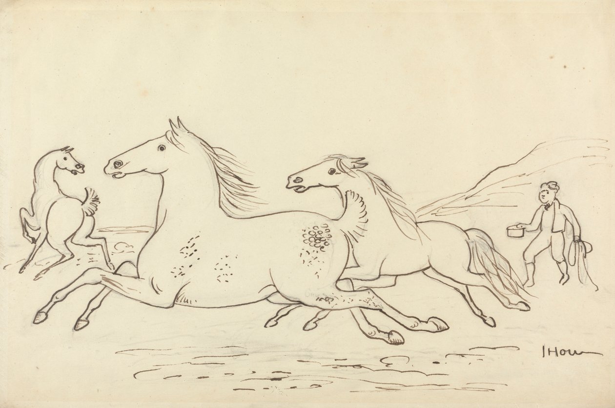 Três Cavalos e Rapaz Estável de James Howe