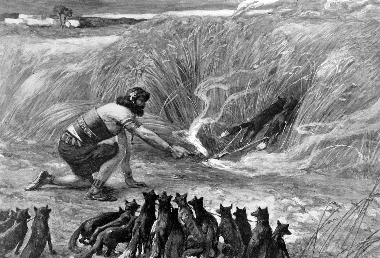 Sansão e as raposas por J James Tissot - Bíblia de James Jacques Joseph (after) Tissot