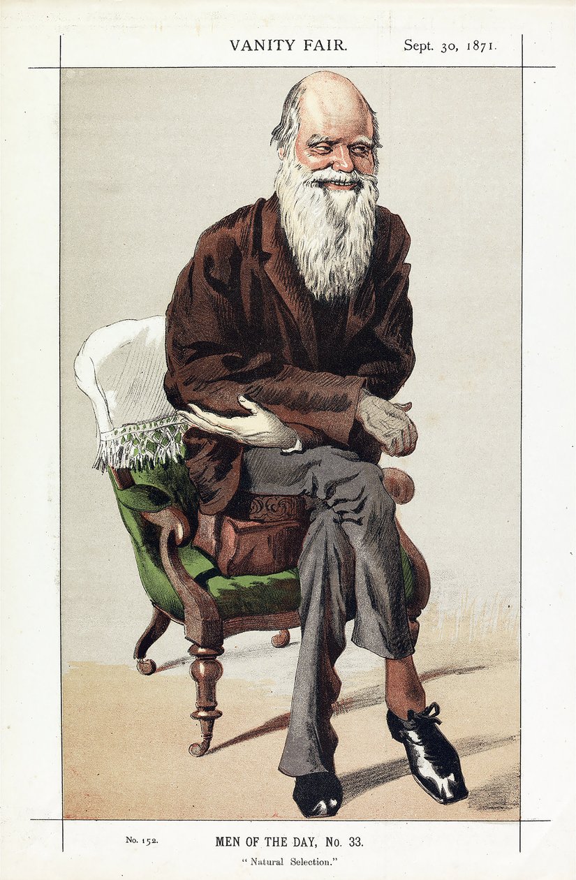 Charles Darwin, homens do dia, no. 33, seleção natural, da feira da vaidade, bar. 1871 de James Jacques Joseph Tissot