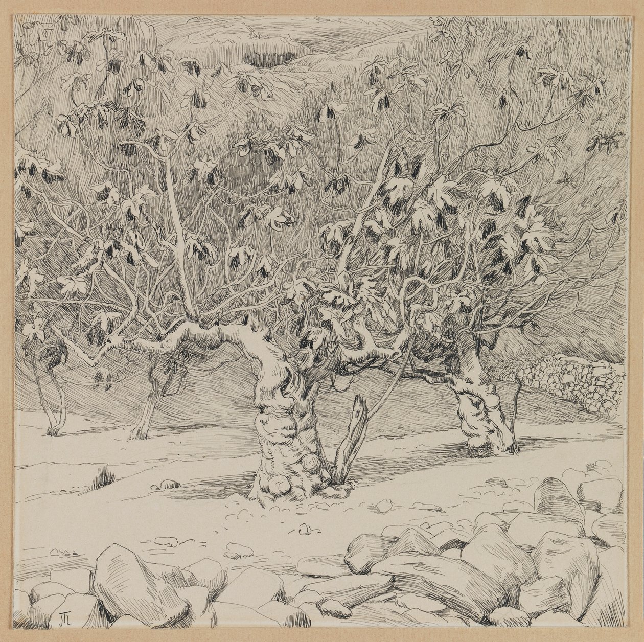 Figueira, vale de Hinom, ilustração da vida de nosso Senhor Jesus Cristo (tinta sobre papel) de James Jacques Joseph Tissot