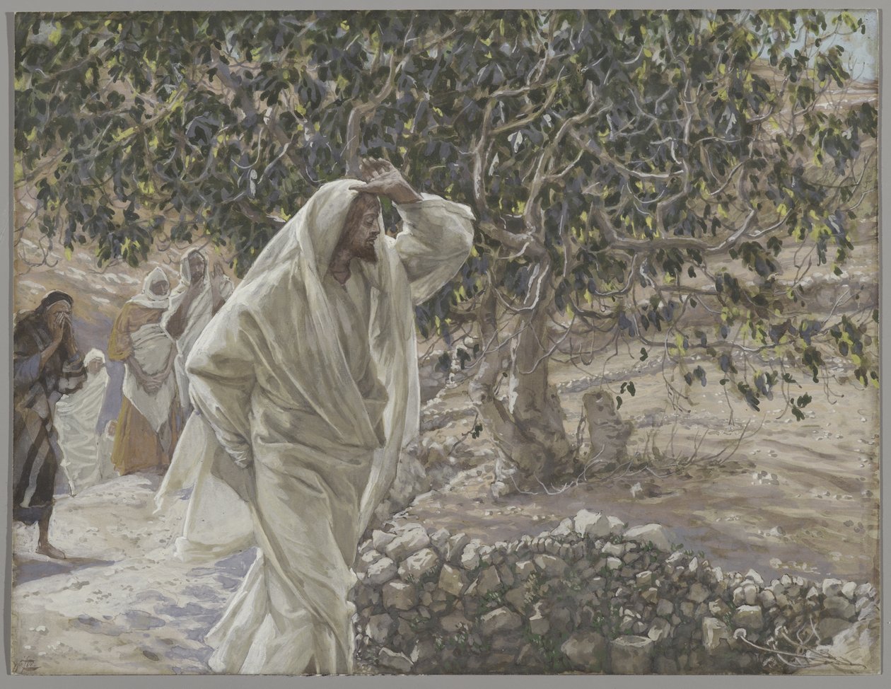 A figueira maldita, ilustração da vida de nosso senhor Jesus Cristo, 1886-94 (wc sobre grafite no papel) de James Jacques Joseph Tissot