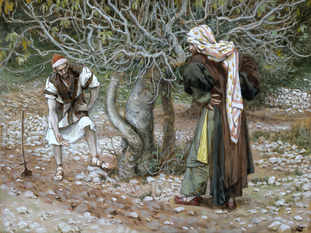 A figueira estéril, ilustração para a vida de Cristo, c.1886-94 (wc & guache no cartão) de James Jacques Joseph Tissot