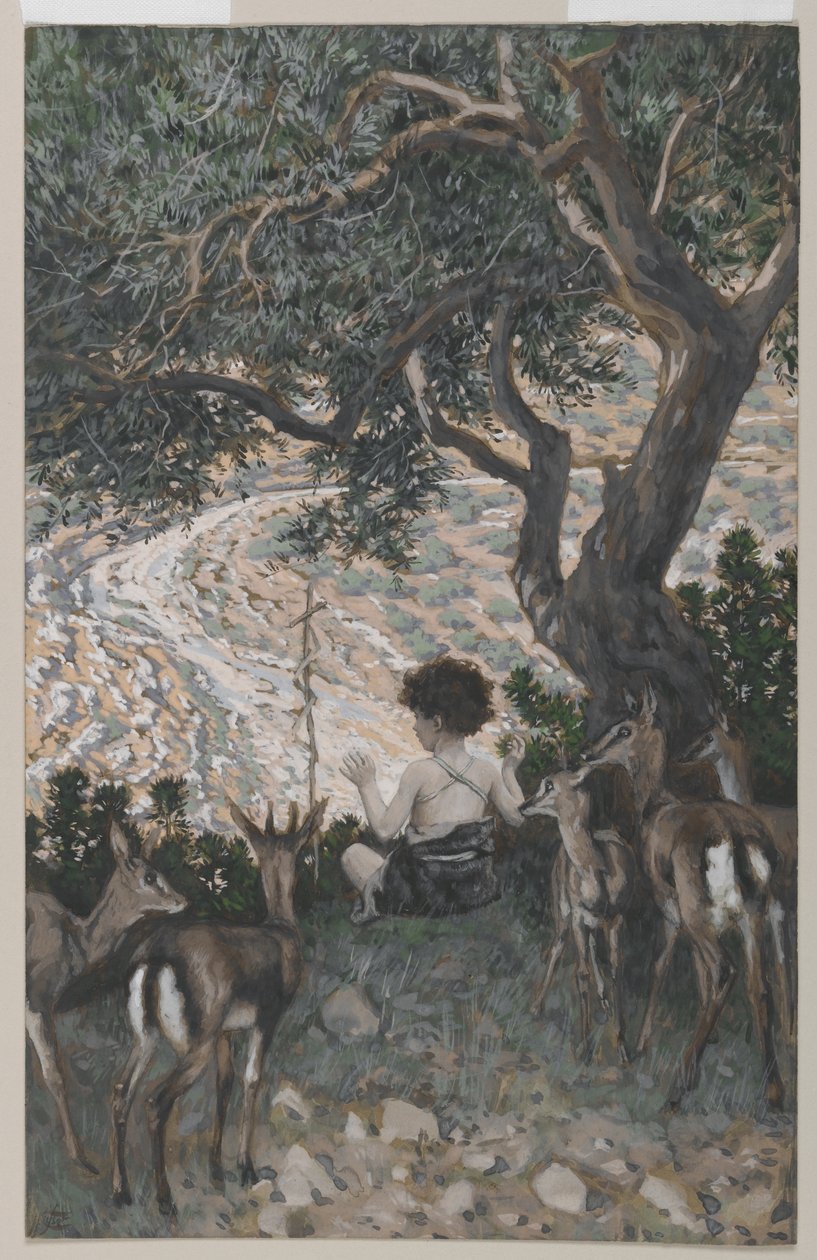 A Infância de São João Batista, ilustração da Vida de Nosso Senhor Jesus Cristo (wc sobre grafite sobre papel) de James Jacques Joseph Tissot