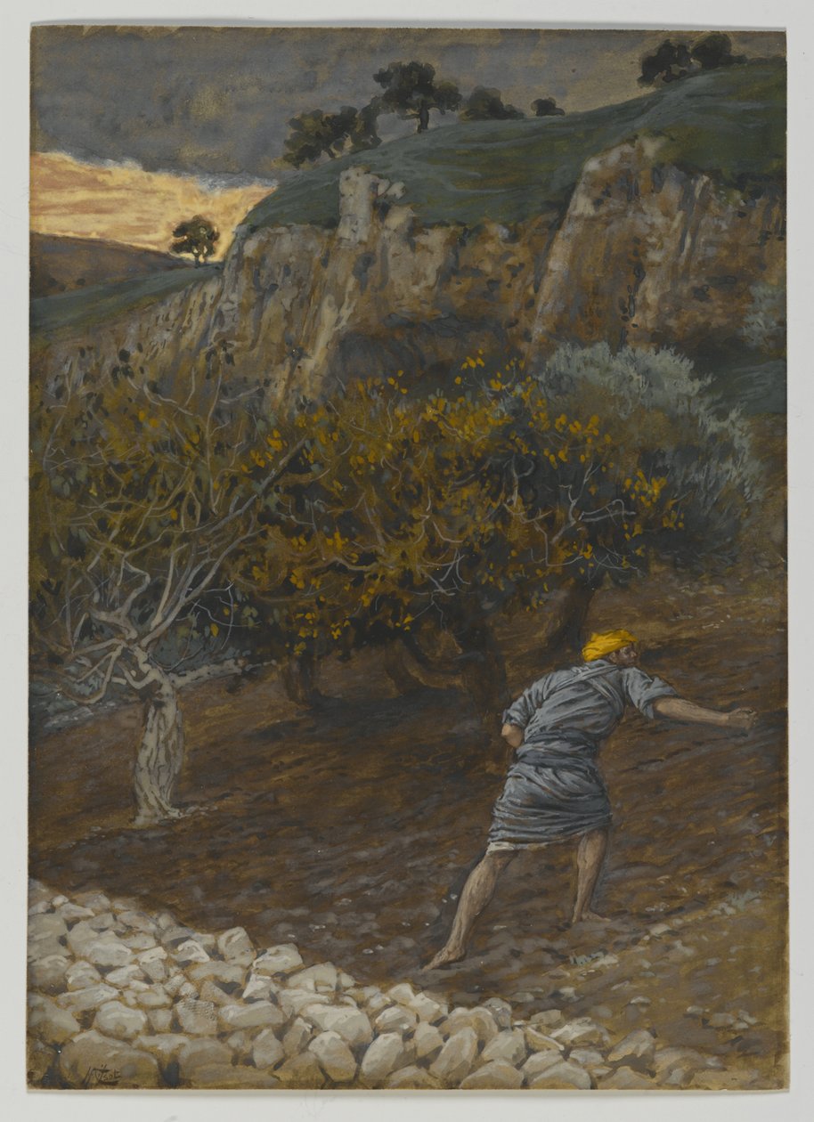 O Inimigo Que Semeia, ilustração da Vida de Nosso Senhor Jesus Cristo (wc sobre grafite sobre papel) de James Jacques Joseph Tissot