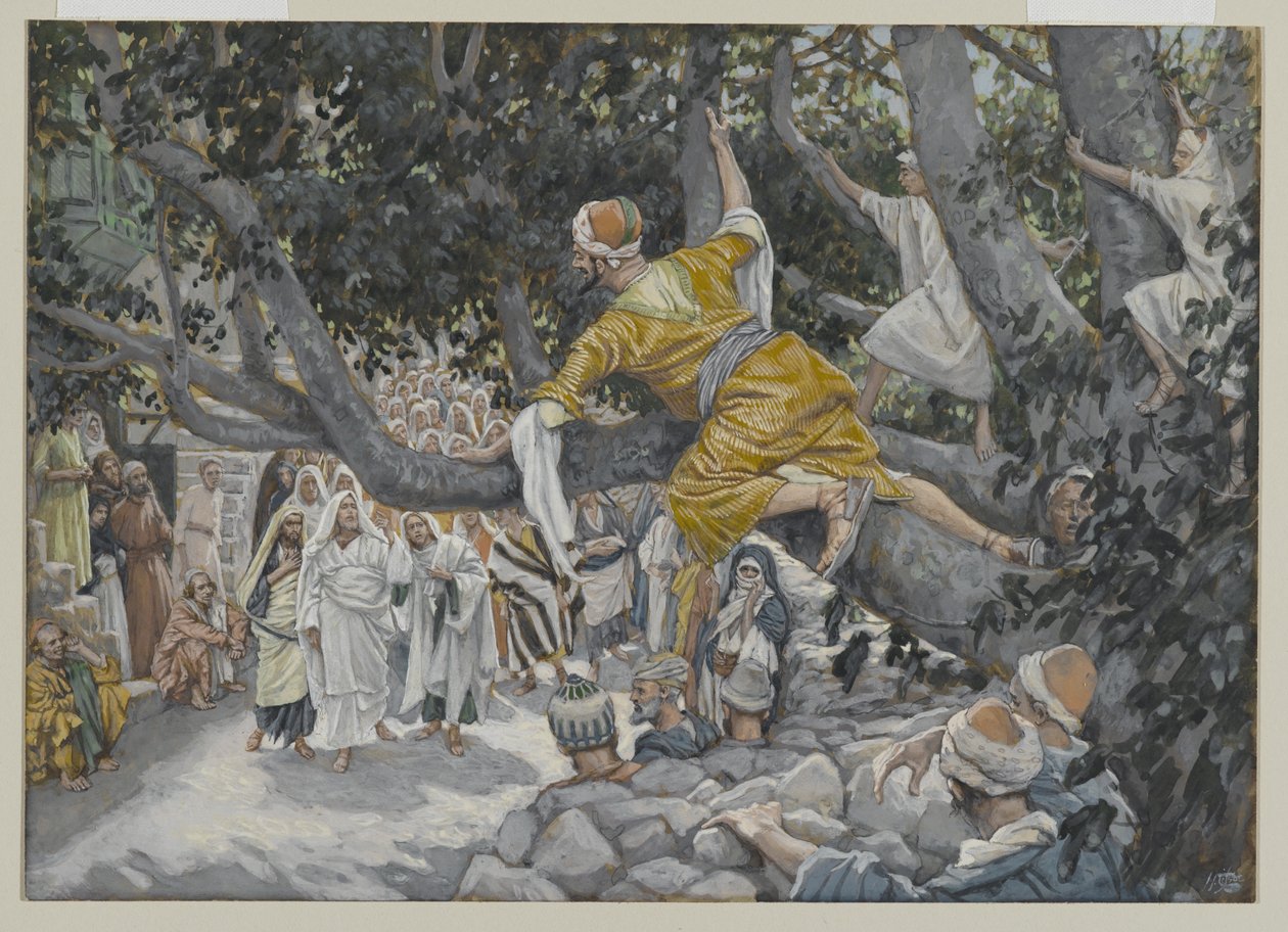 Zaqueu no sicômoro, aguardando a passagem de Jesus, ilustração da vida de Nosso Senhor Jesus Cristo, 1886-96 (wc sobre grafite sobre papel) de James Jacques Joseph Tissot