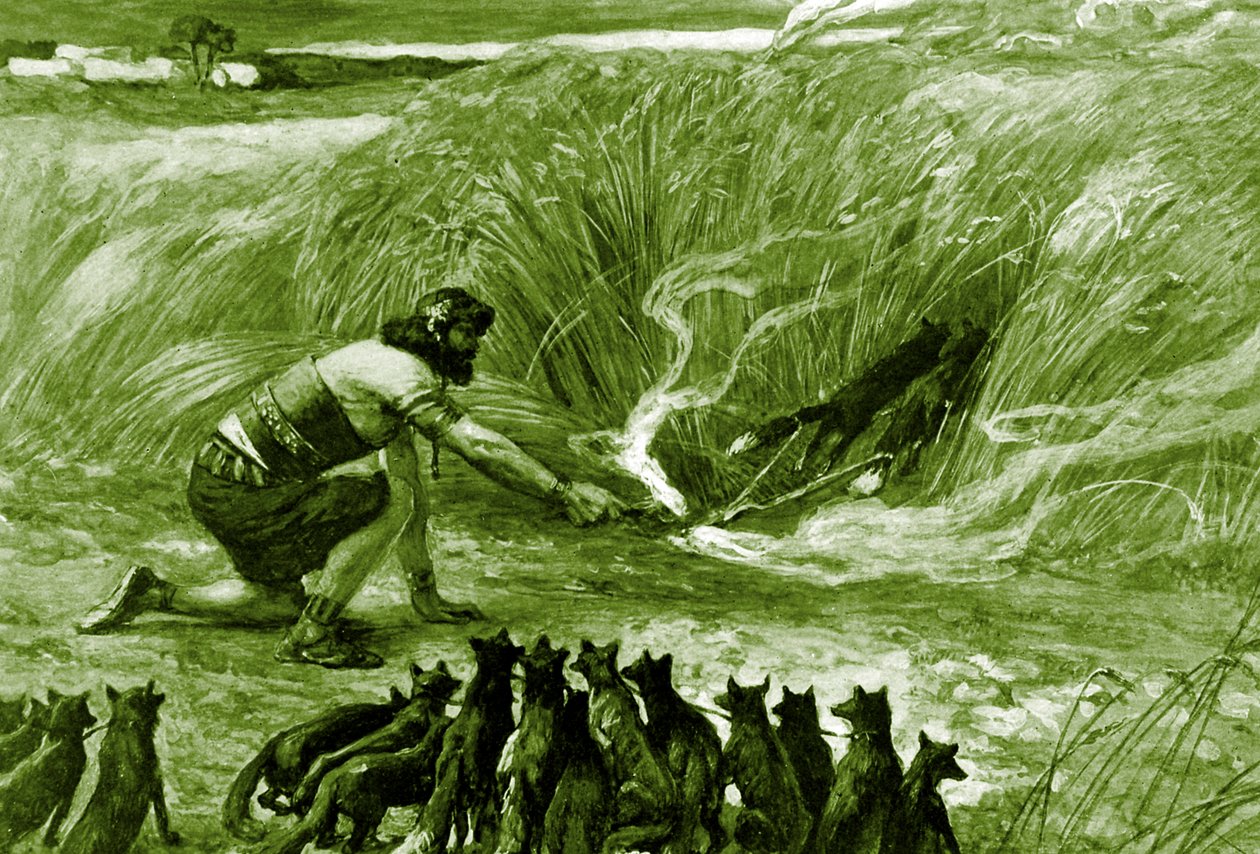 Sansão e as raposas por J James Tissot - Bíblia de James Jacques Joseph after Tissot