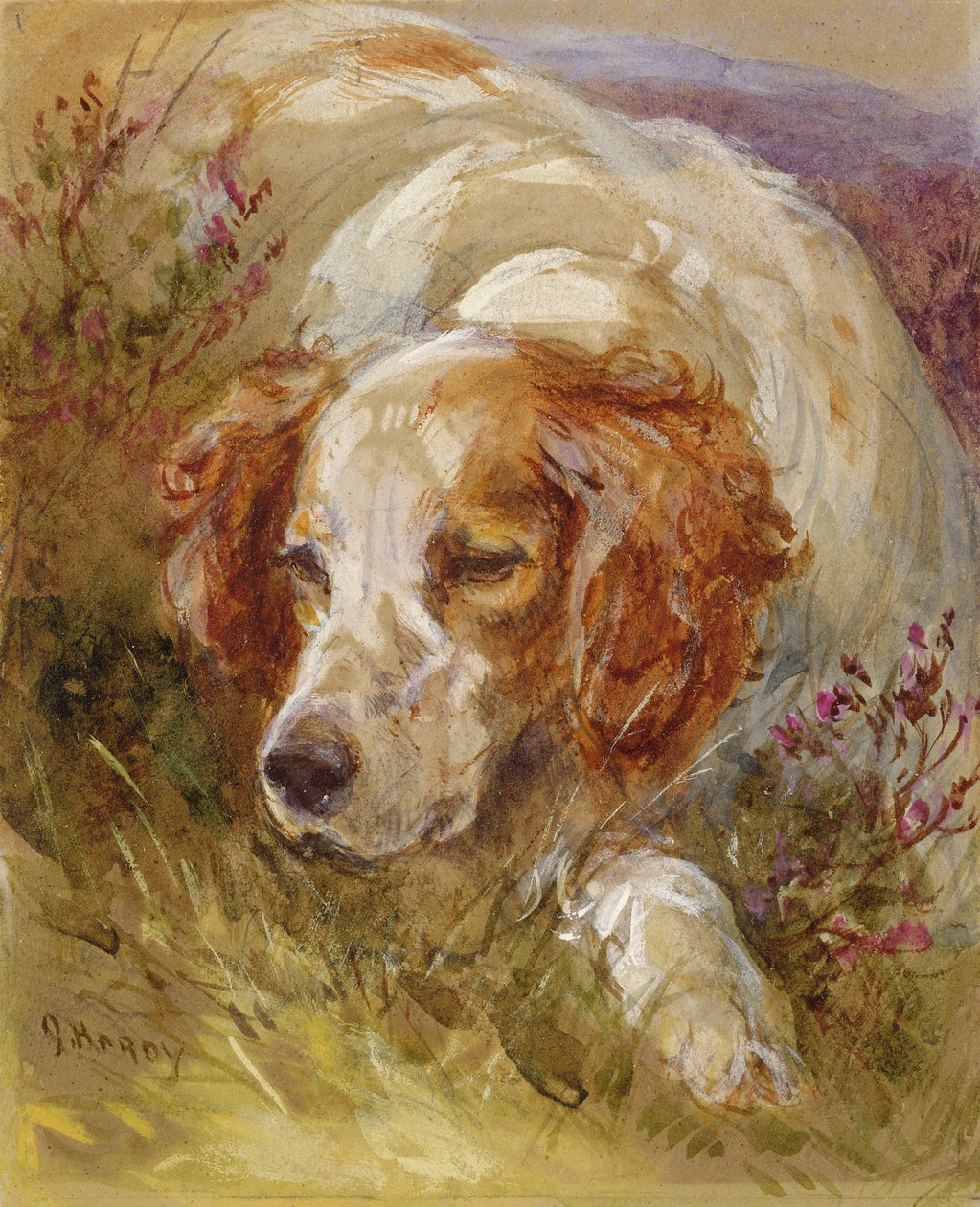 Um Spaniel (wc e bodycolour no papel) de James Jnr Hardy