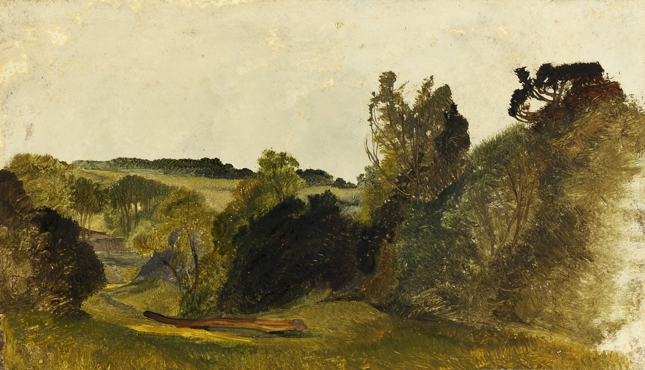 Leigh Wood (óleo sobre cartão) de James Johnson