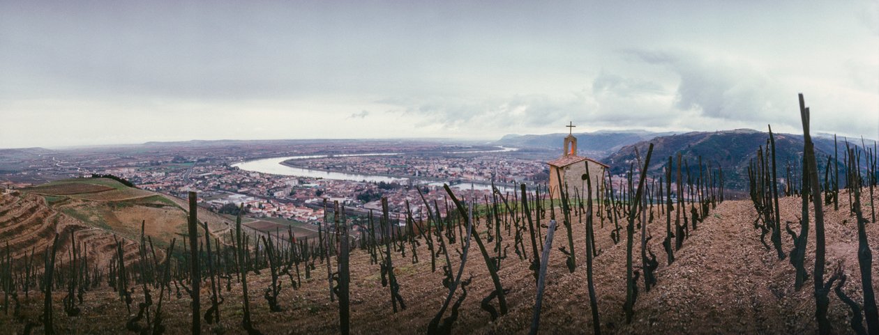 Uma vinha com vista para a cidade e para o rio Ródano. SOCIETE PAUL JABOULET AINE WINE... de James L Stanfield