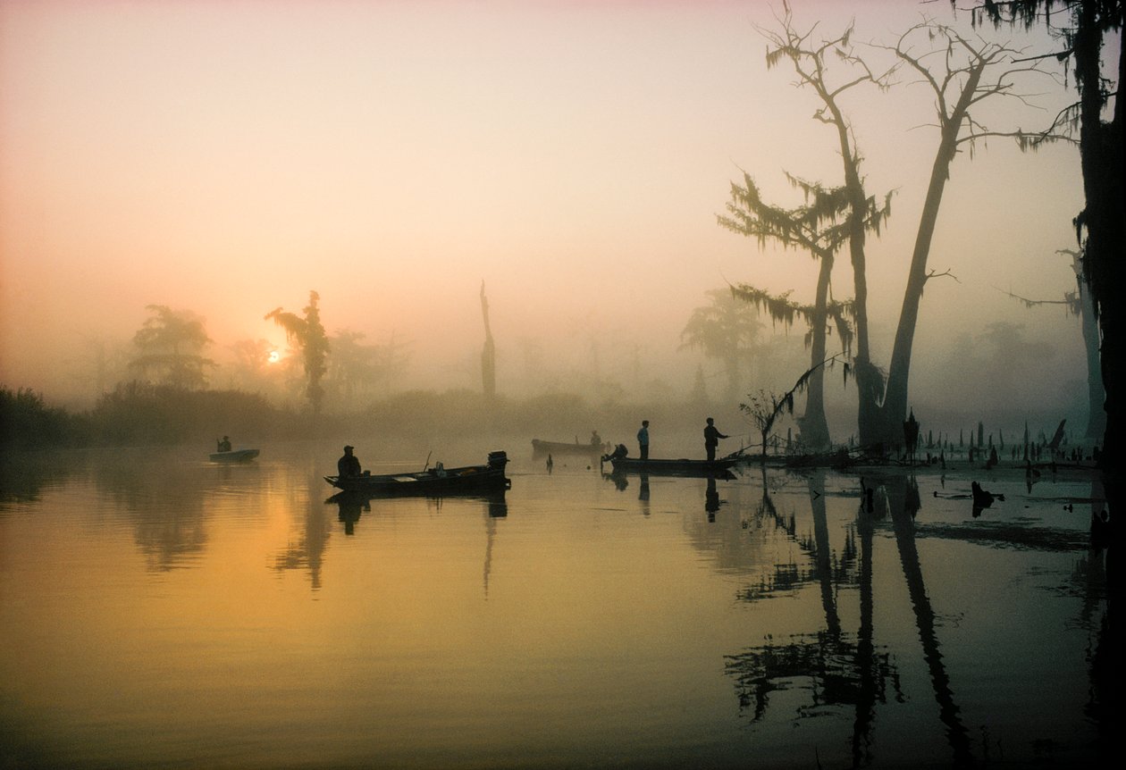 O sol de outubro queima a névoa matinal sobre Alligator Bayou, no delta do Louisiana, para... de James L Stanfield