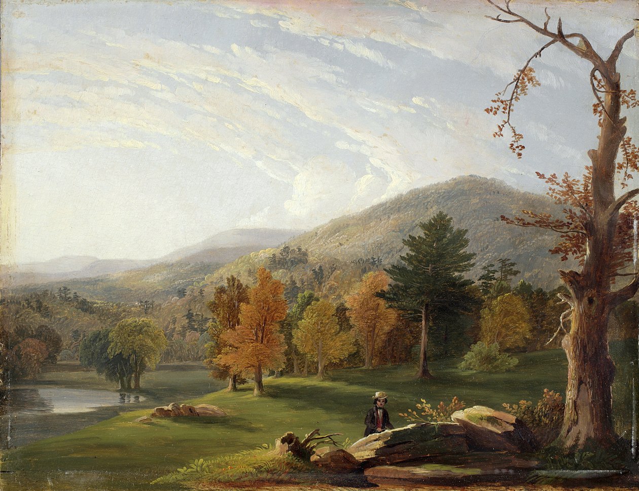 Veja entre os Helderbergs, Catskills à distância, 1850 de James McDougal Hart