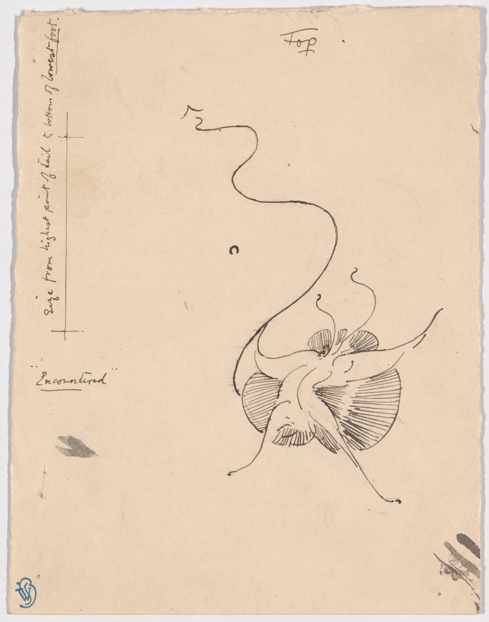 Borboleta "Encontrada" (anverso); Esboço para o arremate (verso) de James McNeill Whistler