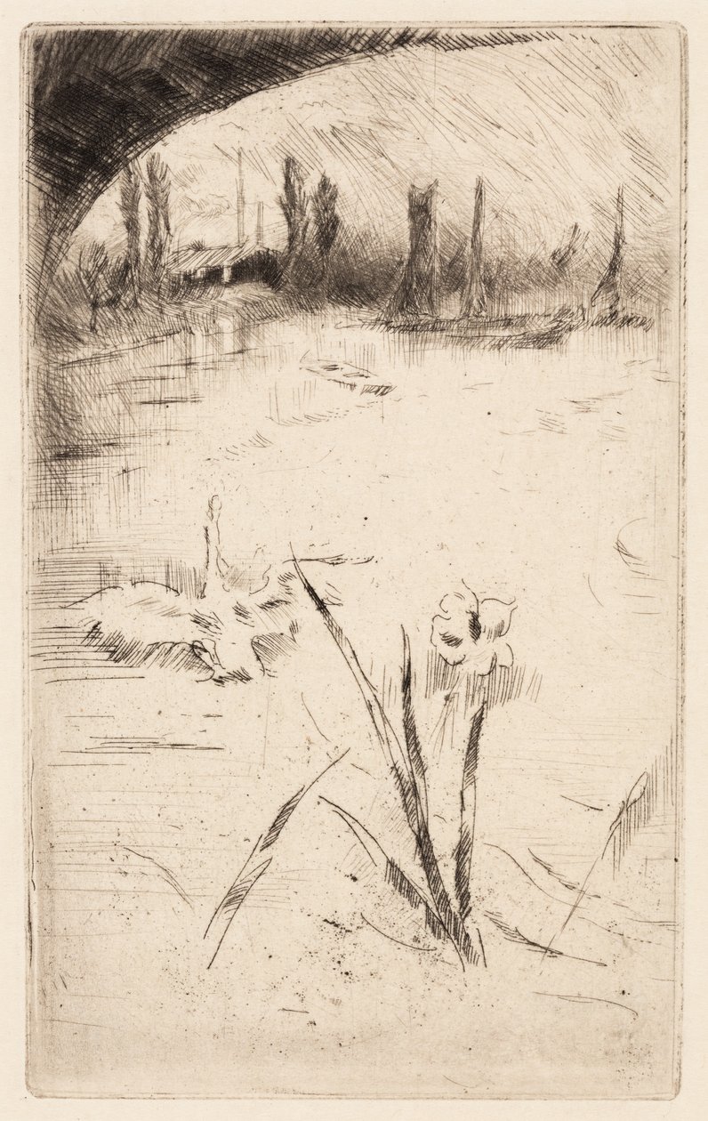 Esboço a partir de "Cisne e Íris" de Cecil Lawson de James McNeill Whistler