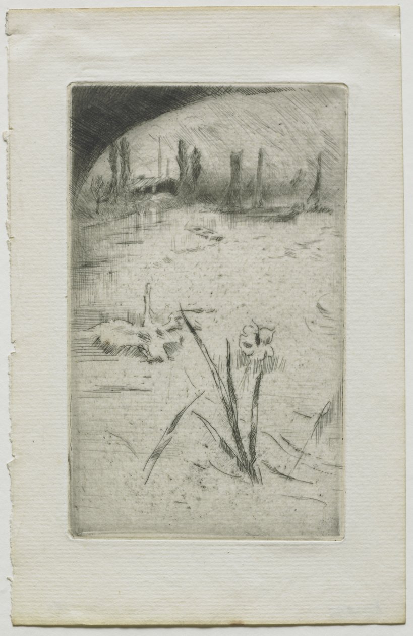 Cisne e íris de James McNeill Whistler