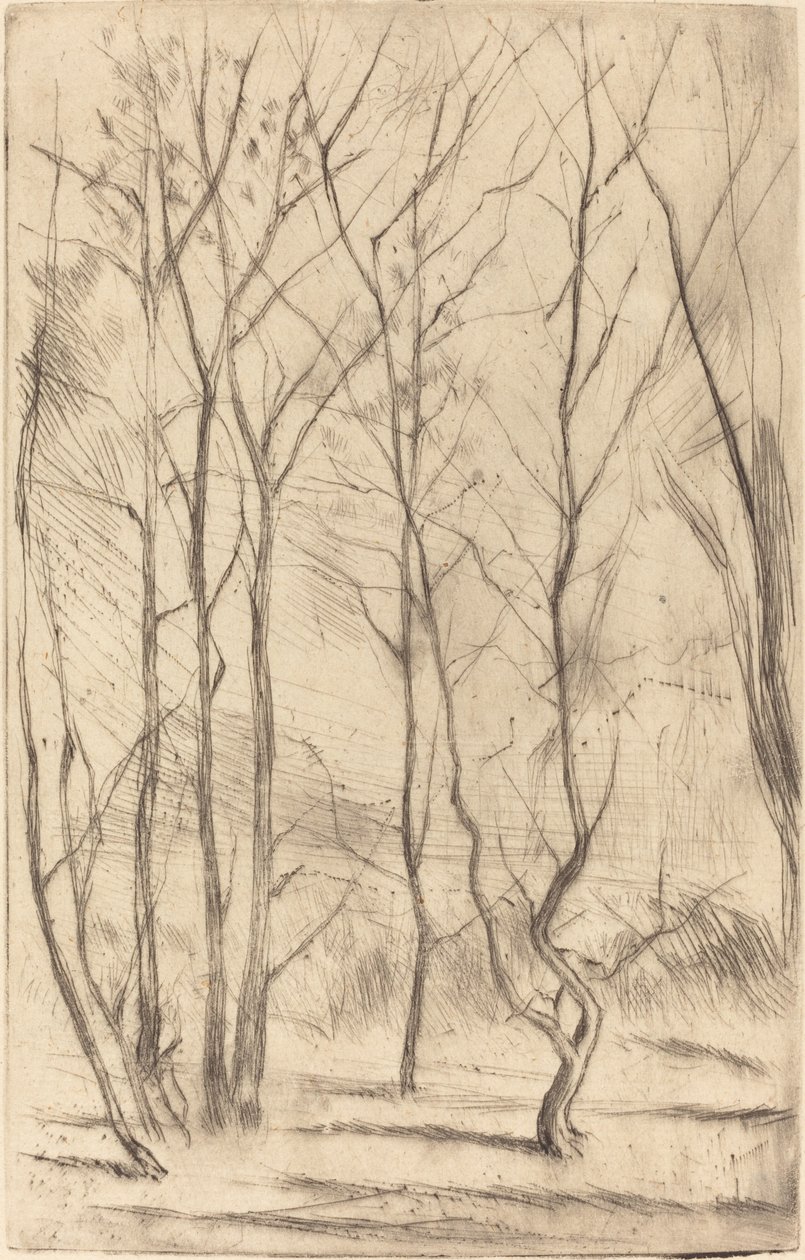 A Madeira da Barragem de James Abbott McNeill Whistler