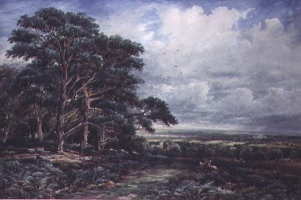 Bradgate Park perto de Leicester, aquarela de James Orrock
