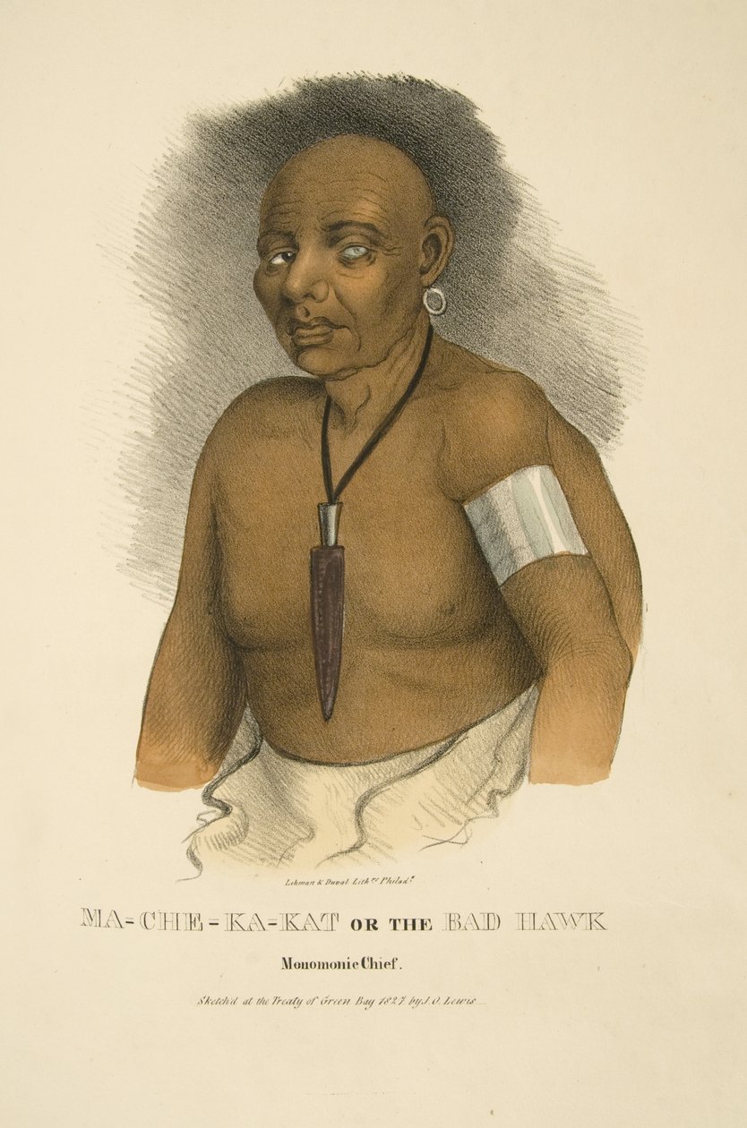 Ma-che-ka-kat ou o Mau Falcão de James Otto Lewis